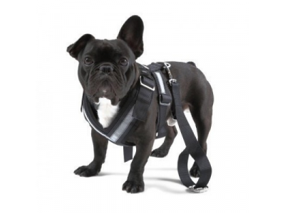 Ремень безопасности для собаки Skoda Dog Safety Belt, размер XL